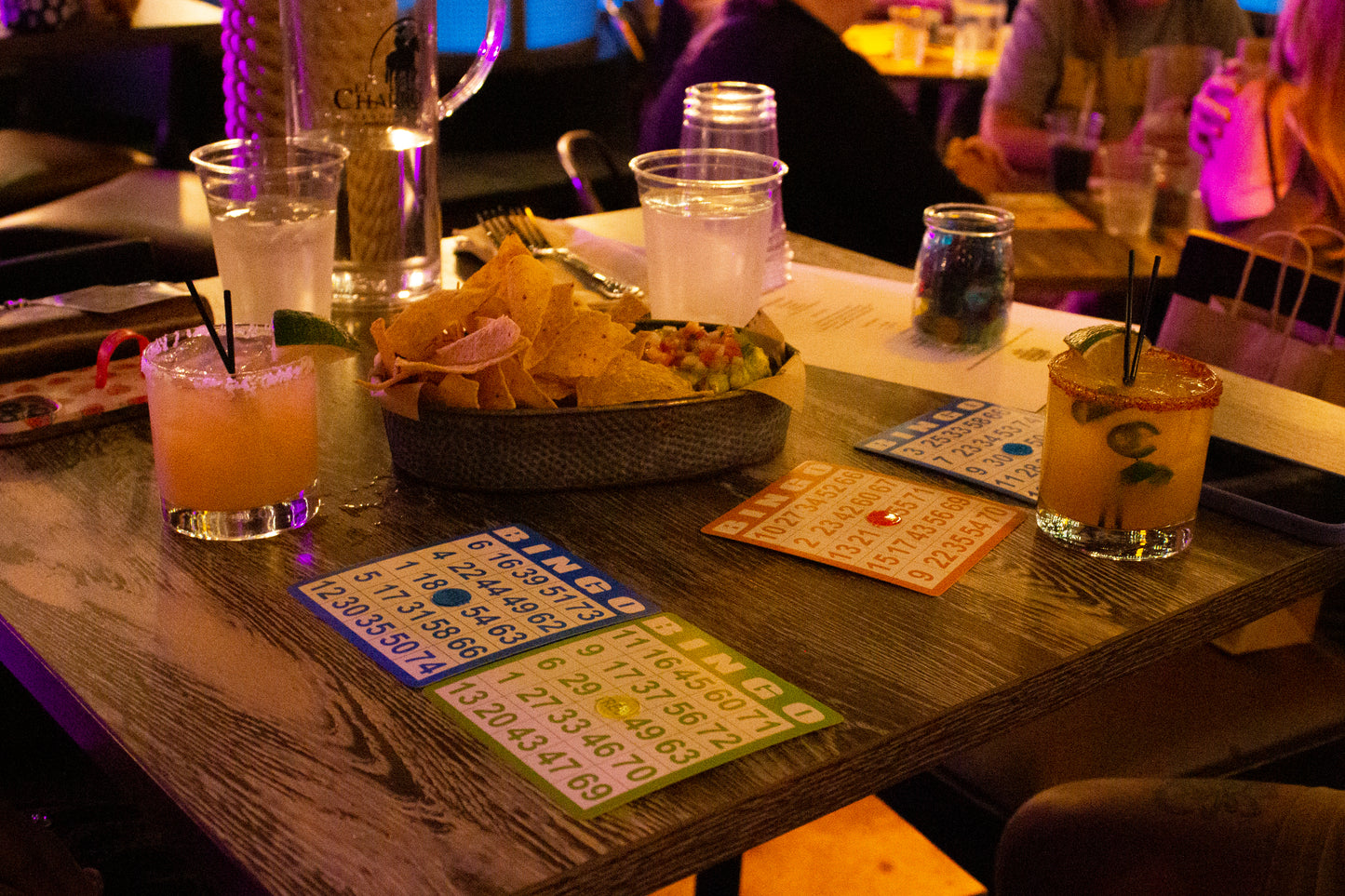 Plant Bingo Night Ticket – July 8th