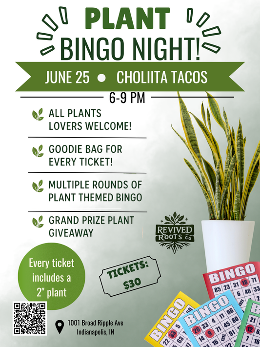 Plant Bingo Night Ticket –June 25th🌿